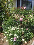 image1.jpeg