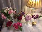 image1.jpeg