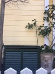 image2.jpeg