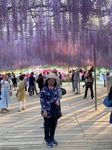 IMG_5561.jpg