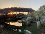IMG_5567.jpg